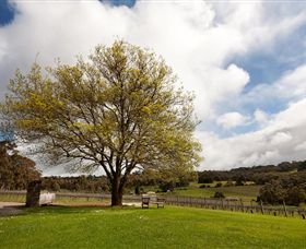 Tuck's Ridge - Australia Accommodation 2