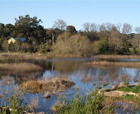 Coolart Wetlands And Homestead - Australia Accommodation 0