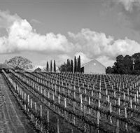 Willow Creek Vineyard - Australia Accommodation