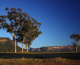Capertee Valley Bird Trail - Australia Accommodation 0