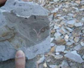 Fossil Rock - Australia Accommodation 1