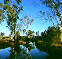 Dingo Creek Park - Australia Accommodation