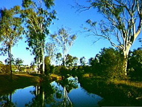Dingo Creek Park - Australia Accommodation 0