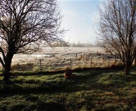 Jannei Artisan Cheese Makers - Australia Accommodation 2