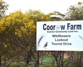 Coorow Farm Wildflower Trail - Australia Accommodation 0