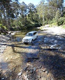 Aberfeldy Four Wheel Drive Track - Australia Accommodation 1