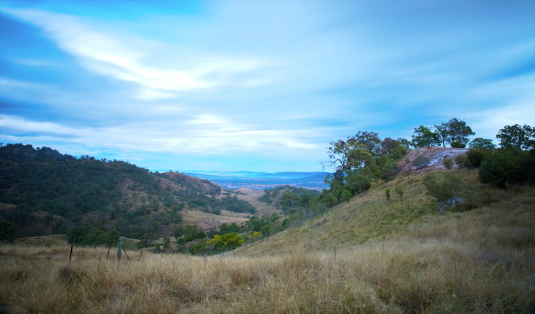 Wingen NSW Australia Accommodation
