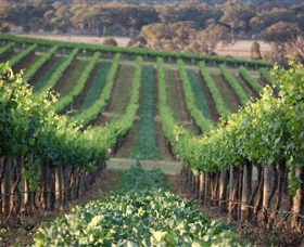 Two Rivers Wines - Australia Accommodation 1