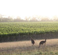 Small Forest Wine - Australia Accommodation