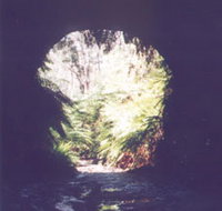 Glow Worm Tunnel - Australia Accommodation