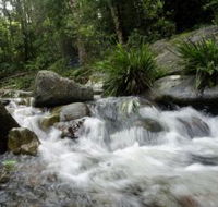 Washpool National Park - Australia Accommodation