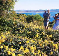 Joseph Banks Conservation Park - Australia Accommodation