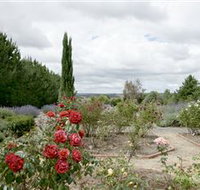 Crystal Brook Lavender Farm - Australia Accommodation