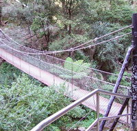 Jenolan River walking track - Australia Accommodation