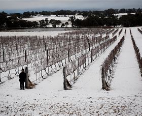 Savina Lane Premum Wines - Australia Accommodation 2