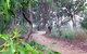 Mount Mutton Walking Trail - thumb 0