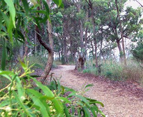 Mount Mutton Walking Trail - Australia Accommodation 0
