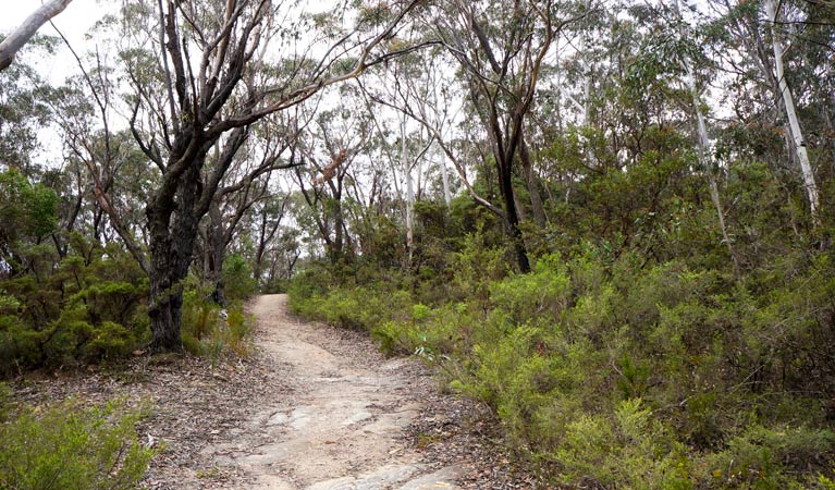 Ganbenang NSW Australia Accommodation