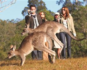 Boutique Tours Australia - Australia Accommodation 2