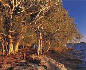 East Coast Adventure Bus - Australia Accommodation 2
