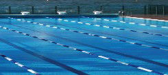 Andrew Boy Charlton Pool - Australia Accommodation 1