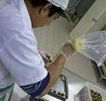 Fremantle Chocolate Pty ltd - Australia Accommodation