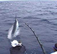 Amokura Charters - Australia Accommodation