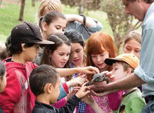 Blackbutt Reserve - Australia Accommodation 2