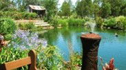 Gone Walkabout Safaris - Australia Accommodation 0