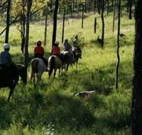 Hunter Valley Horse Riding and Adventures - Australia Accommodation