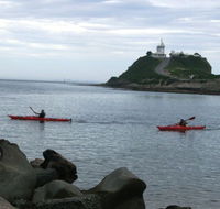 Newcastle Kayak Tours - Australia Accommodation