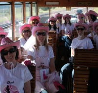 Newcastles Famous Tram - Australia Accommodation