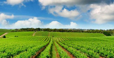 Sydney Weekend Adventures - Australia Accommodation 2