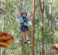TreeTops Newcastle - Australia Accommodation
