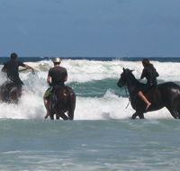 Pegasus Park Equestrian Centre - Australia Accommodation