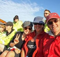 Byron Bay Whale Watching - Australia Accommodation