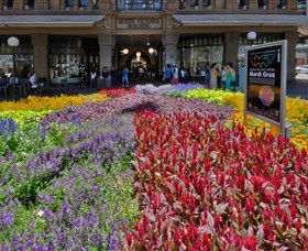 Queen Victoria Building - Australia Accommodation 1