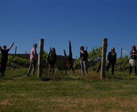 Grape Escape - Australia Accommodation 3