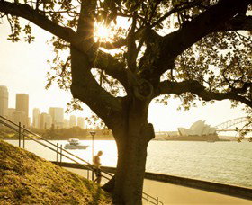 Royal Botanic Gardens And The Domain - Australia Accommodation 0