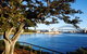 Royal Botanic Gardens And The Domain - thumb 3