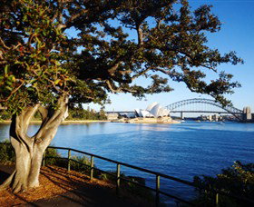 Royal Botanic Gardens And The Domain - Australia Accommodation 3