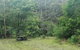 Halfway Point Picnic Area - thumb 0
