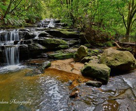 Australian Sightseeing And Photography Tours - Australia Accommodation 1