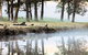 Australian Sightseeing And Photography Tours - thumb 4