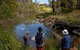 Australian Sightseeing And Photography Tours - thumb 5
