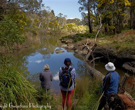 Australian Sightseeing And Photography Tours - Australia Accommodation 5