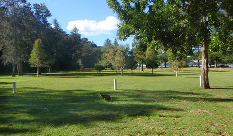 The Basin Picnic Area - Australia Accommodation 1