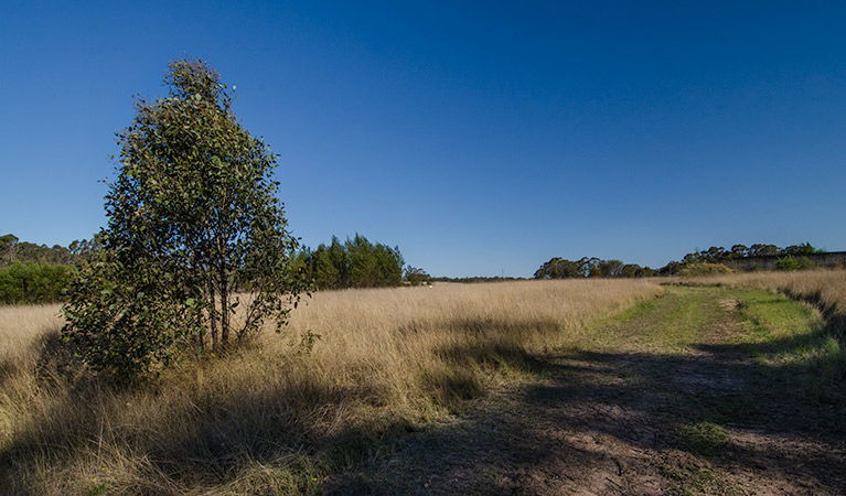 Oakville NSW Australia Accommodation