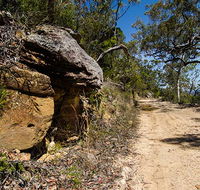 Canoelands Ridge walking track - Australia Accommodation