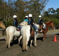 Darkes Forest Riding Ranch - Australia Accommodation